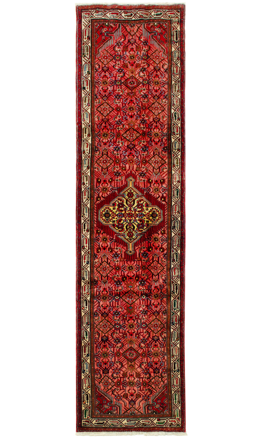 Hamedan Persian Rug | 297 x 77 cm