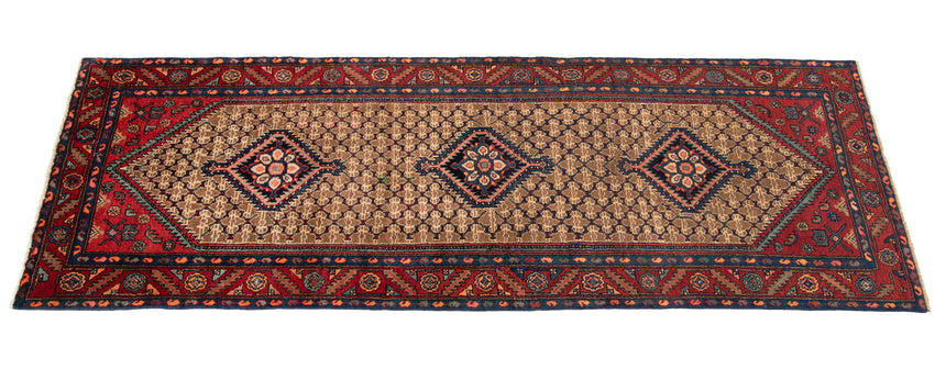 Alfombra persa Koliai | 295 x 97 cm