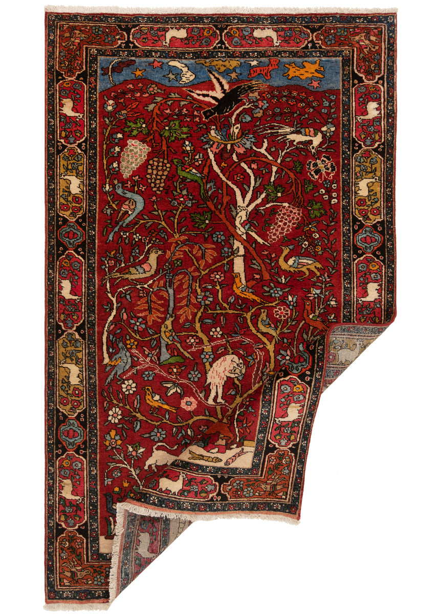 Alfombra persa Zanjan | 212 x 130 cm