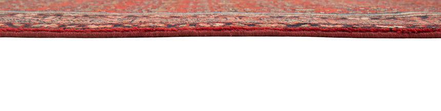 Alfombra persa Hamedan | 506 x 103 cm