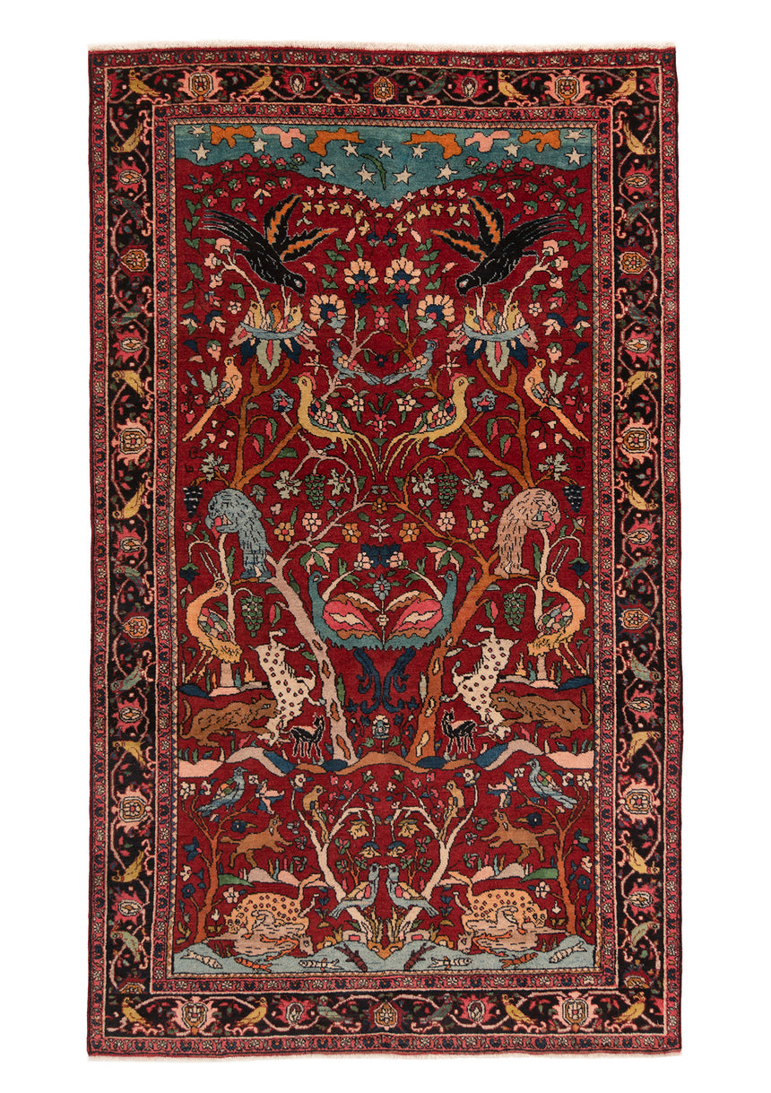 Alfombra persa Zanjan | 234 x 137 cm