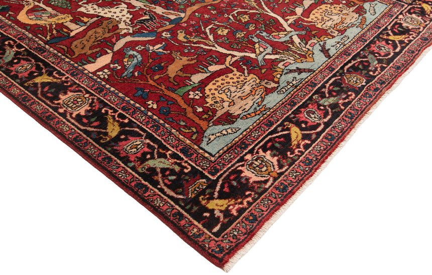 Alfombra persa Zanjan | 234 x 137 cm