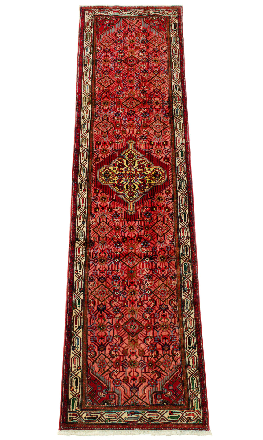 Hamedan Persian Rug | 297 x 77 cm