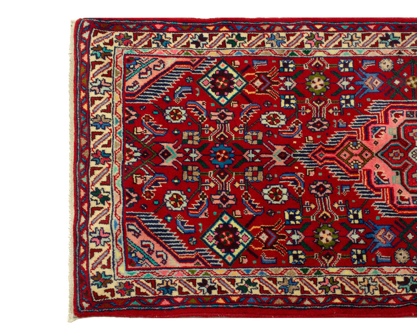 Hamedan Persian Rug | 284 x 80 cm