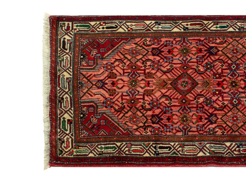 Hamedan Persian Rug | 297 x 77 cm
