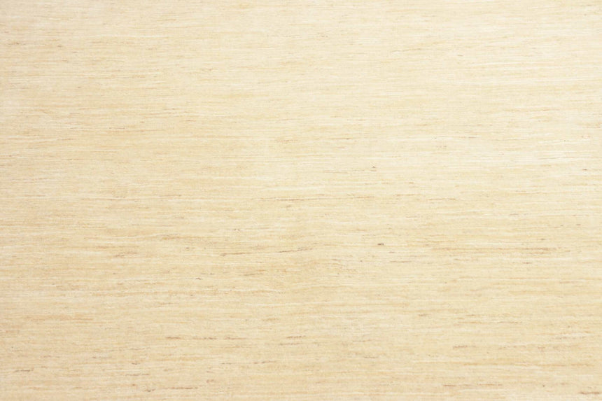 Alfombra Lisa Ziegler | 300 x 200 cm