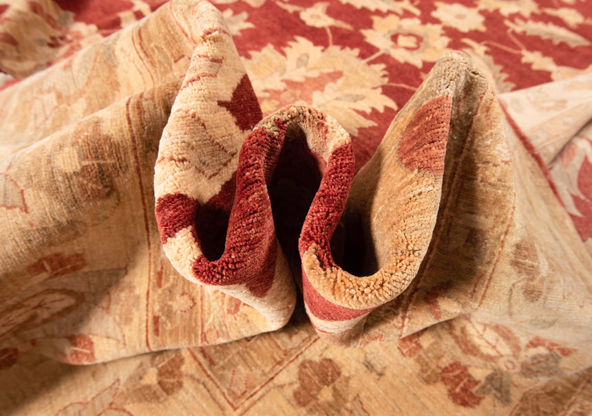 Alfombra Ziegler | 542 x 359 cm