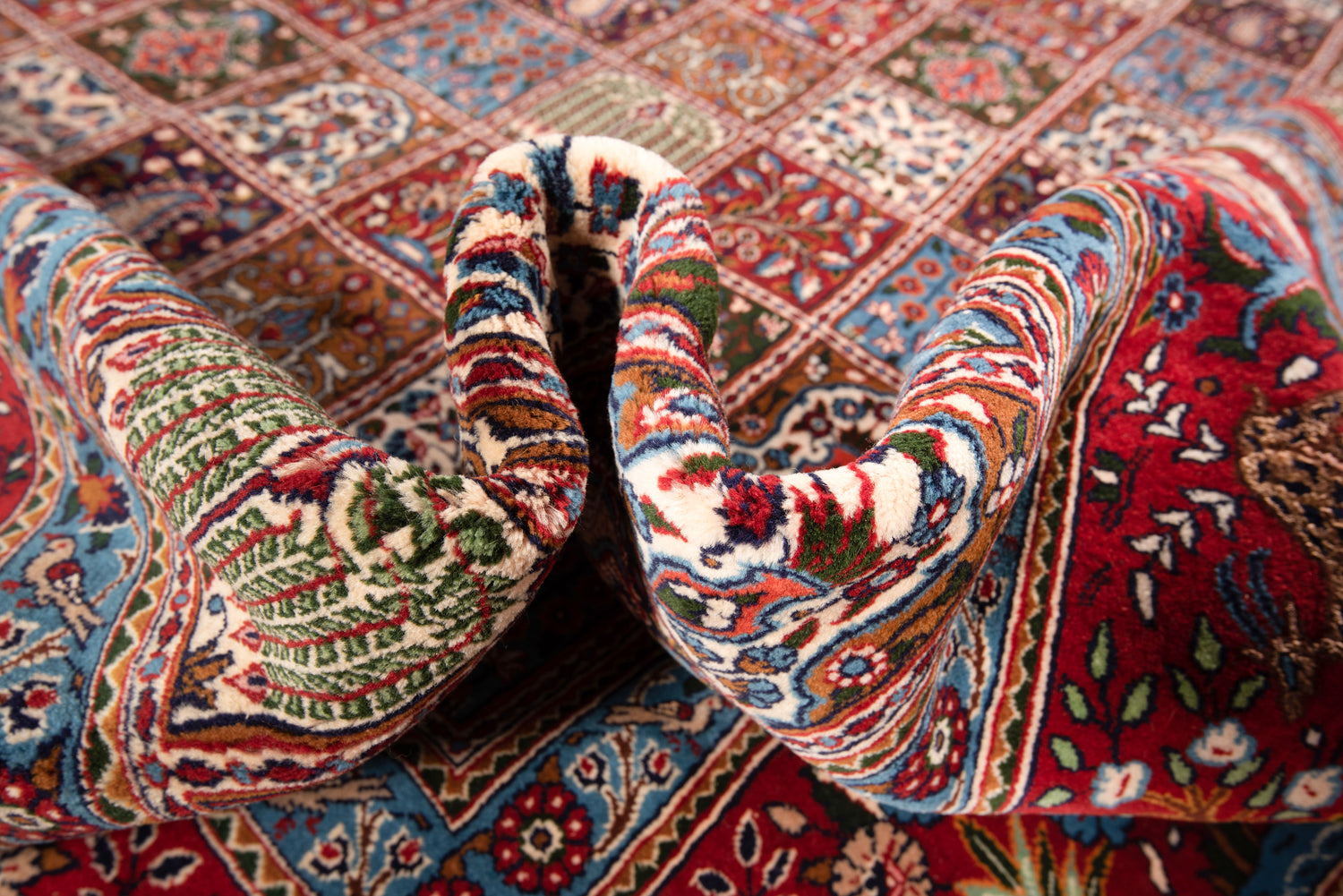 Alfombra Persa Moud | 533 x 366 cm