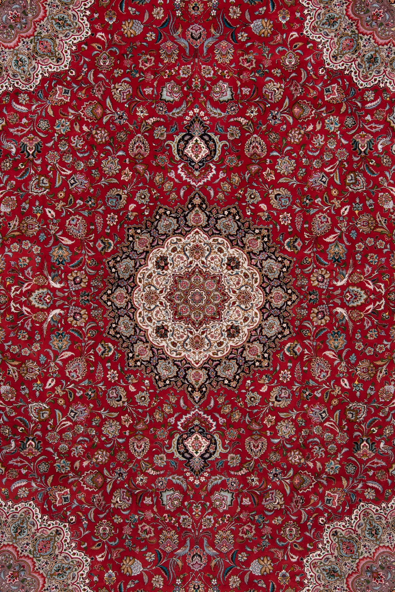 Alfombra persa Tabriz 50Raj | 402 x 300 cm
