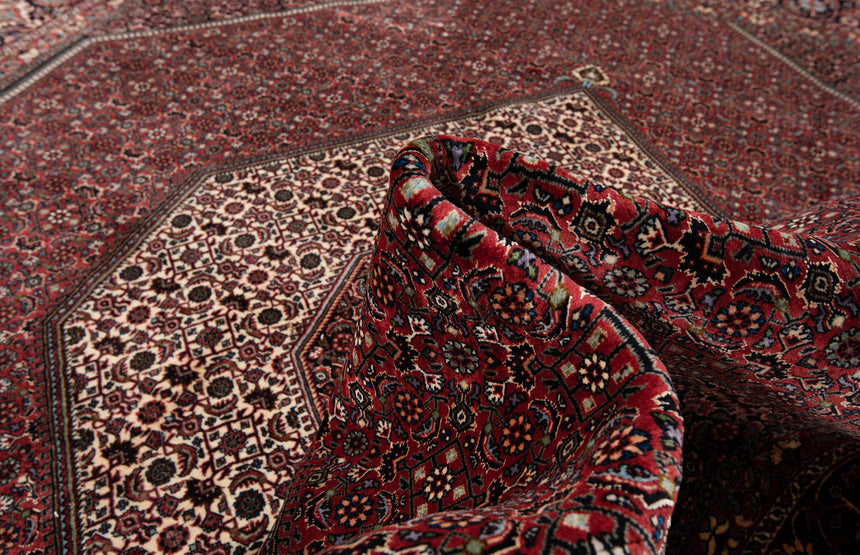 Alfombra Persa Bidjar | 288 x 252 cm