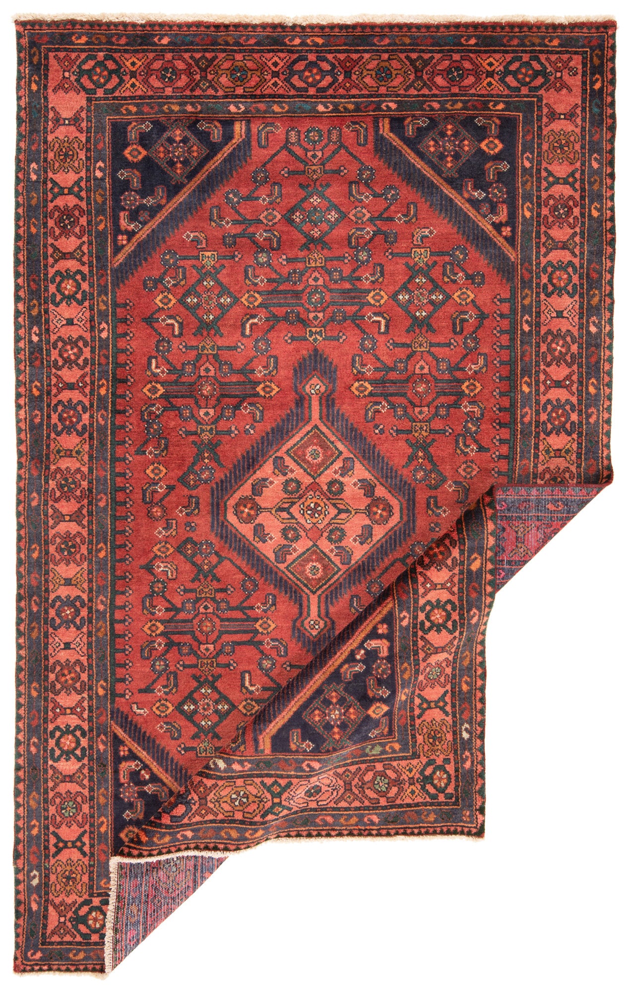 Alfombra persa Zanjan | 224 x 140 cm