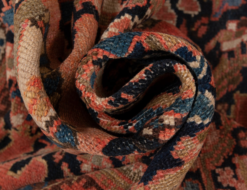 Carpete de malaio persa | 523 x 360 cm