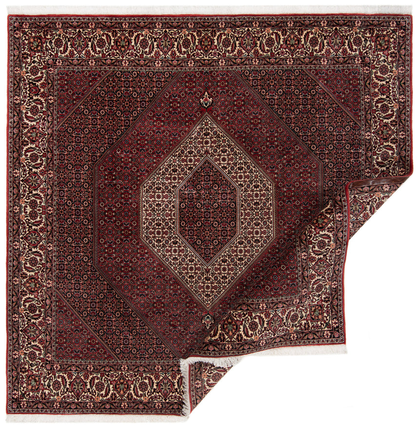 Bidjar Persian Rug | 253 x 250 cm