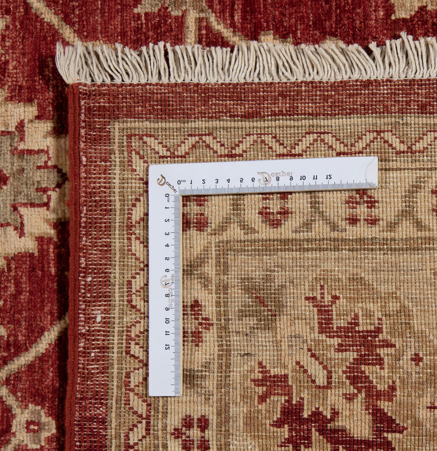 Ziegler Alfombra | 300 x 250 cm