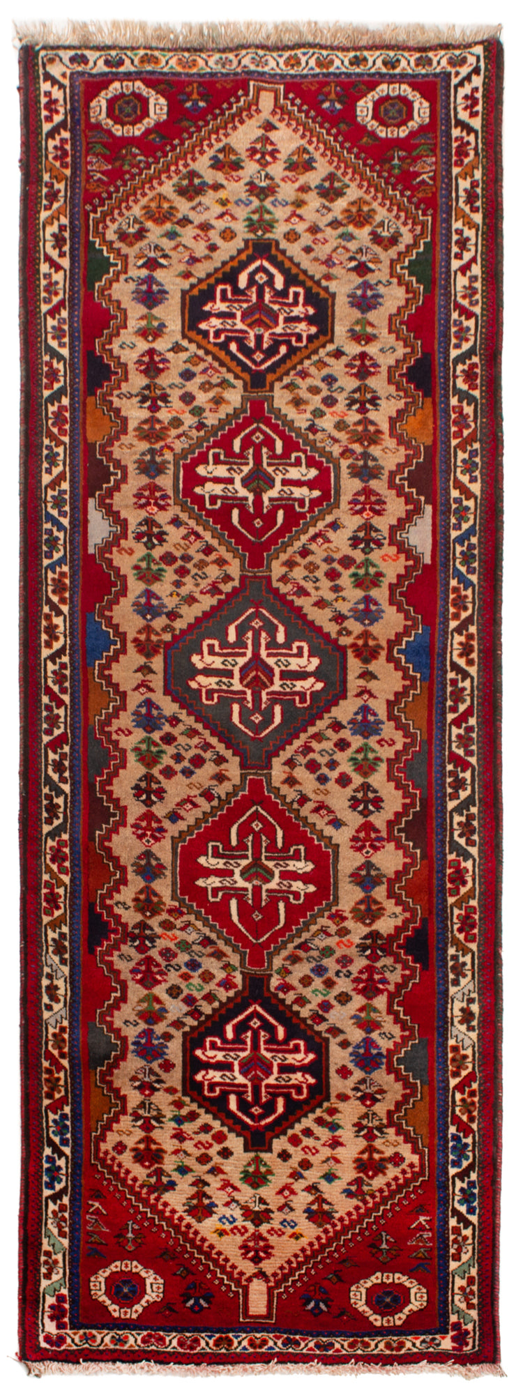 Hamedan Persian Rug | 251 x 86 cm