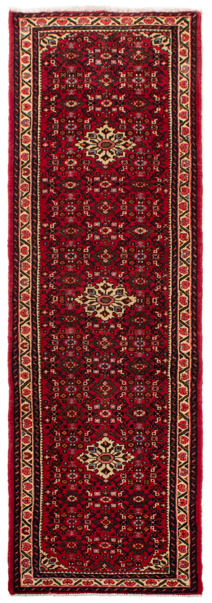 Hamedan Persian Rug | 293 x 80 cm
