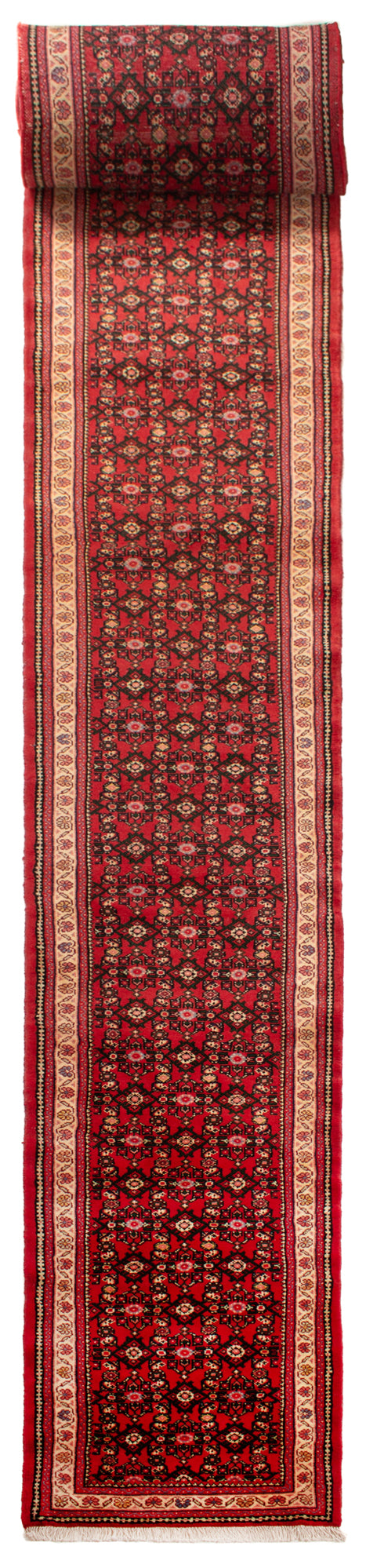 Hamedan Persian Rug | 959 x 67 cm