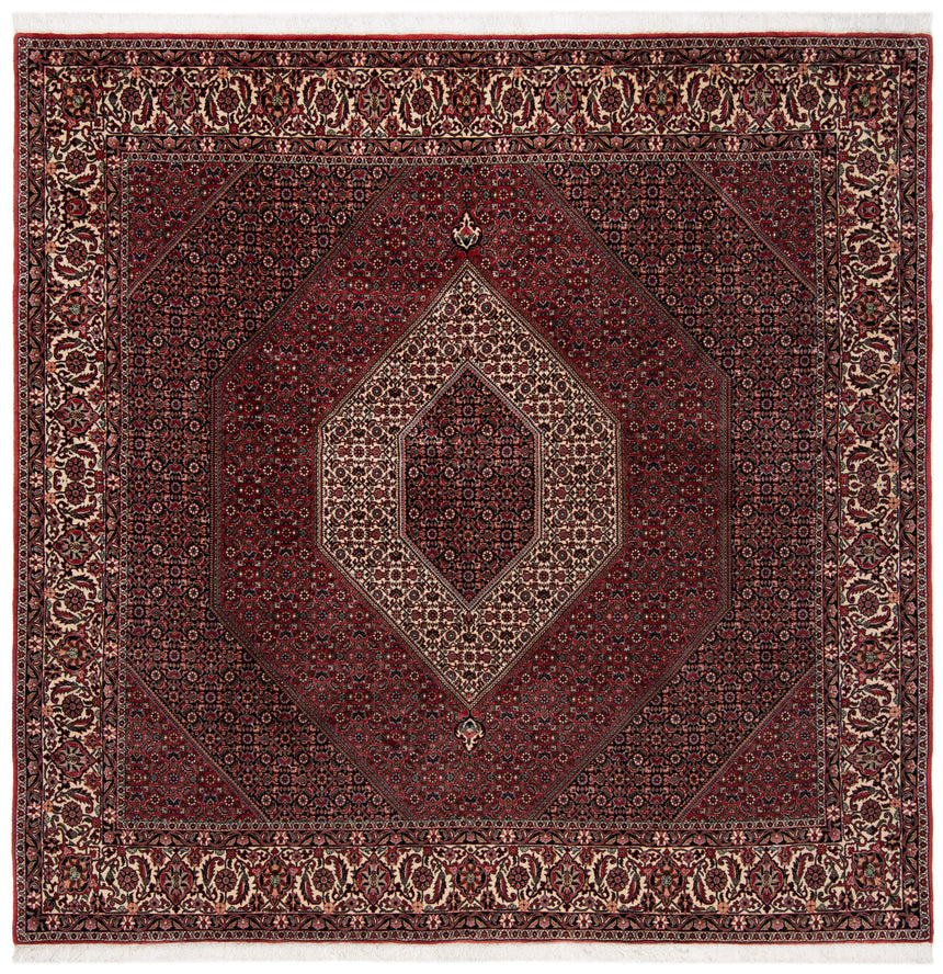 Bidjar Persian Rug | 253 x 250 cm