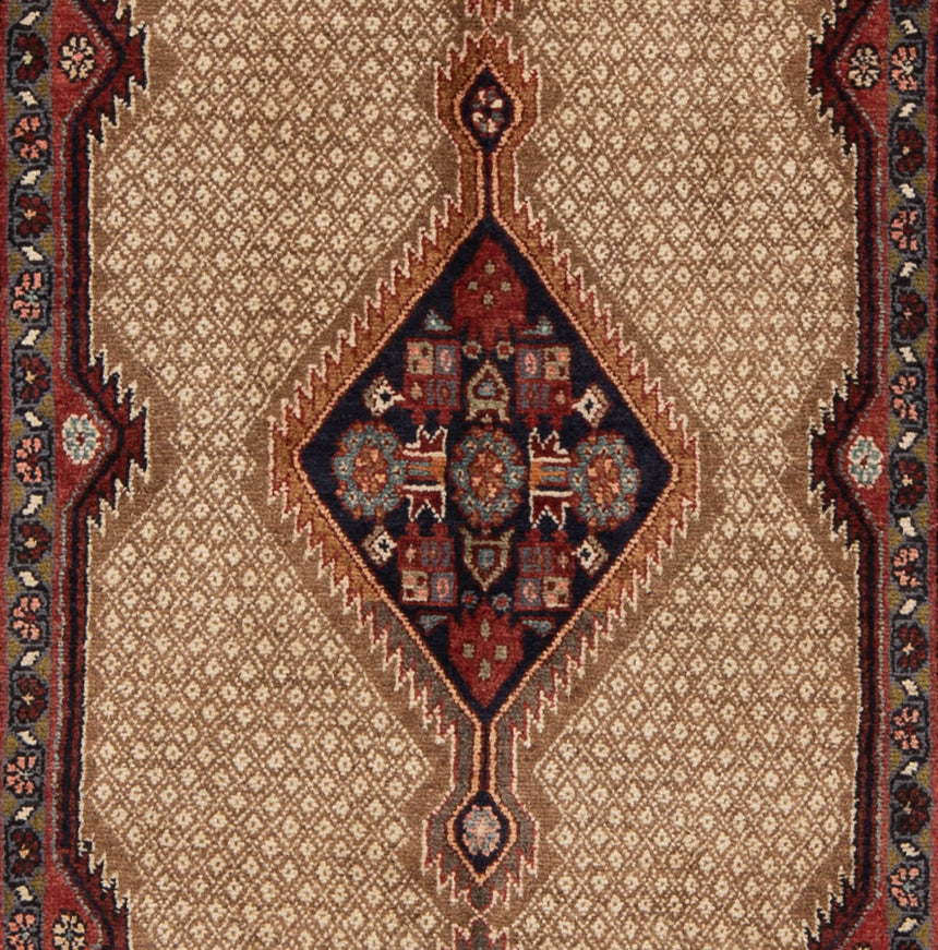 Koliai Persian Rug | 290x98cm