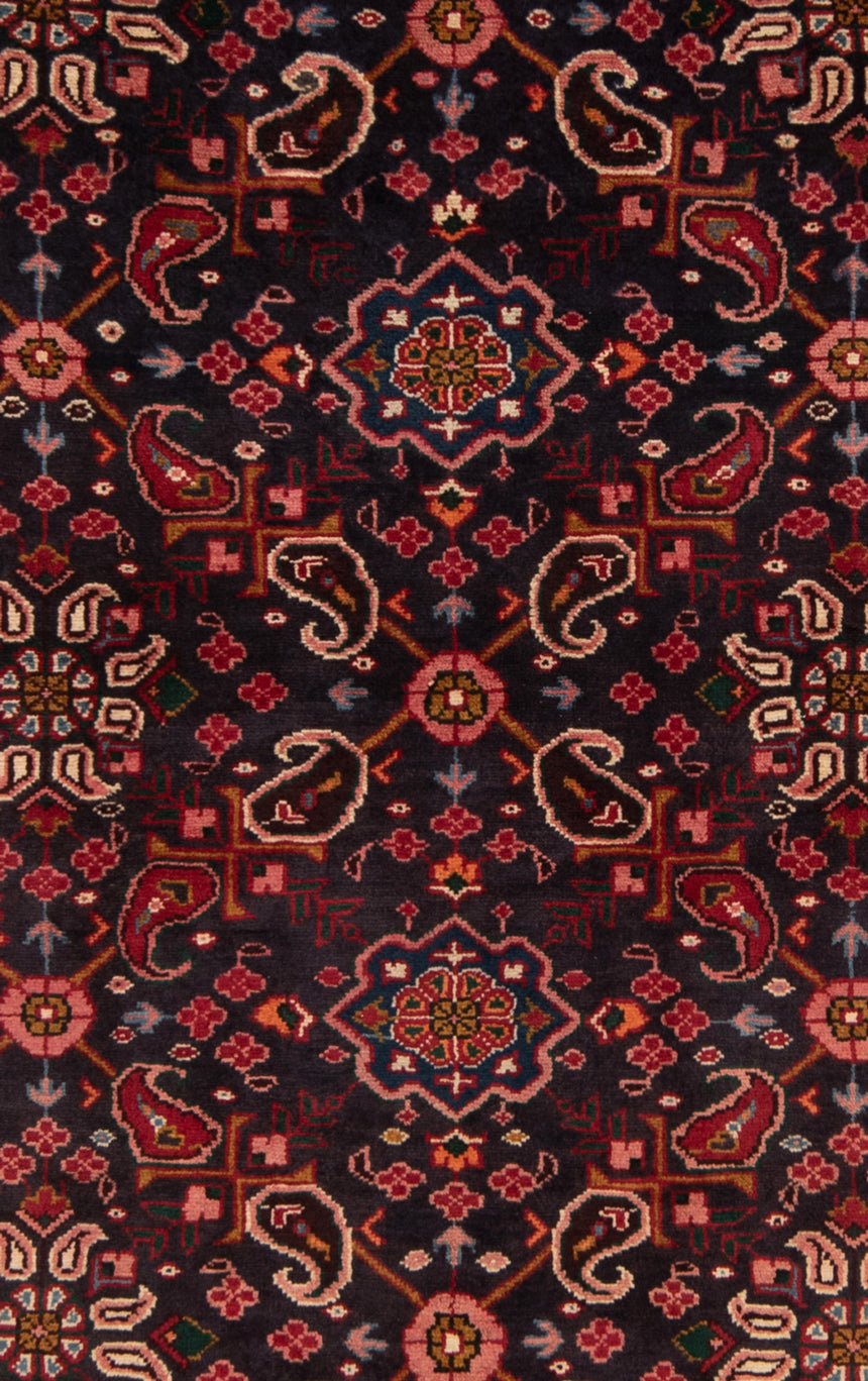 Hamedan Persian Rug | 316 x 113 cm