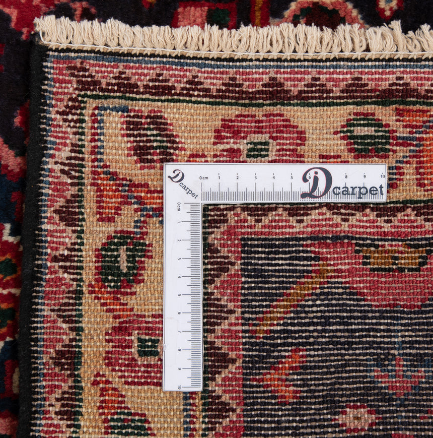 Hamedan Persian Rug | 316 x 113 cm