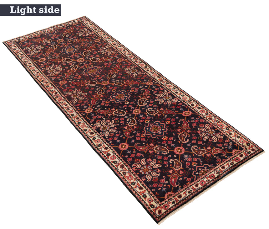Hamedan Persian Rug | 316 x 113 cm