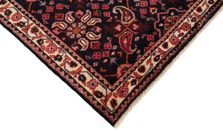 Hamedan Persian Rug | 316 x 113 cm