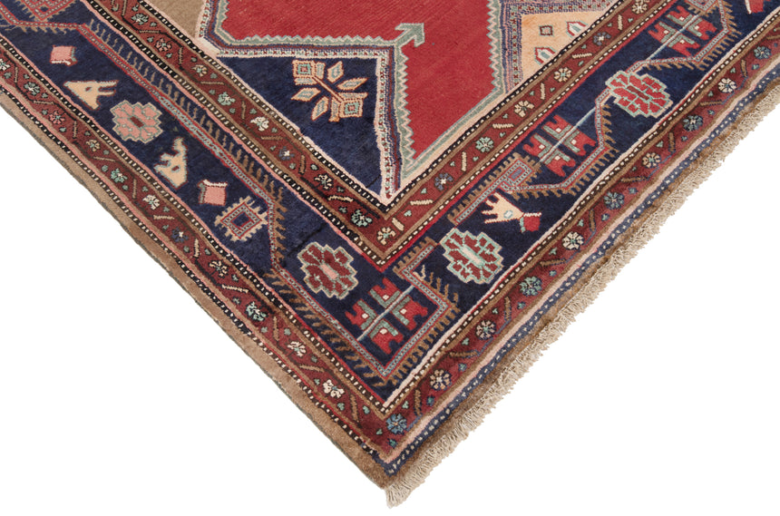 Hamedan Persian Rug | 289 x 160 cm