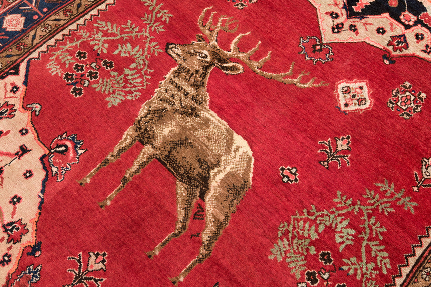 Koliai Persian Rug | 312 x 149cm