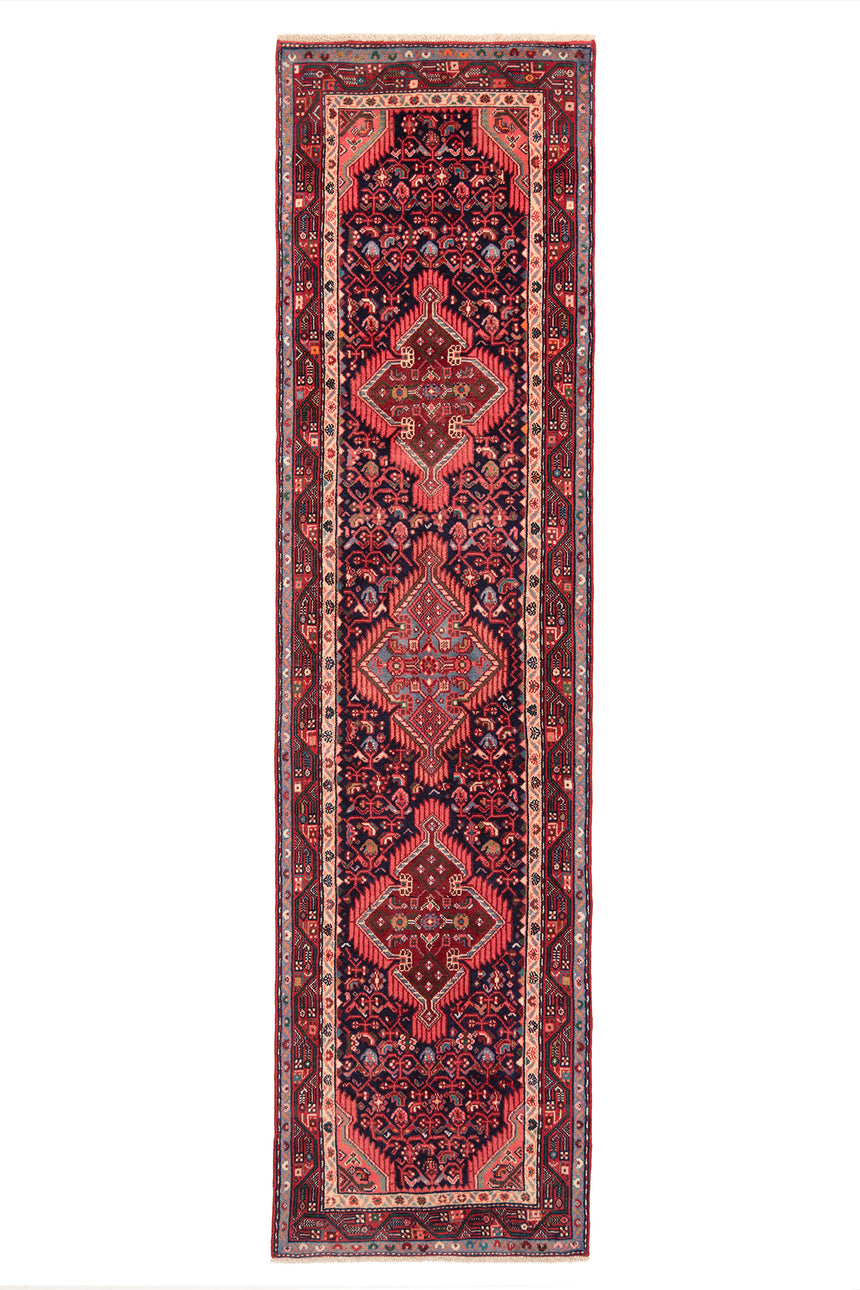 Hamedan Persian Rug | 321 x 84 cm