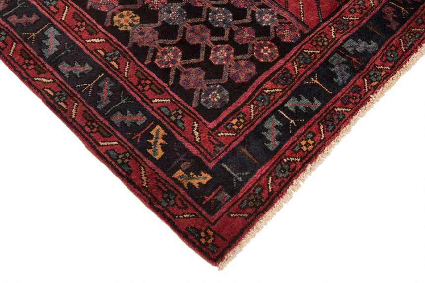 Alfombra persa Hamedan | 297 x 174 cm