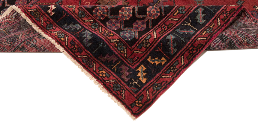 Alfombra persa Hamedan | 297 x 174 cm