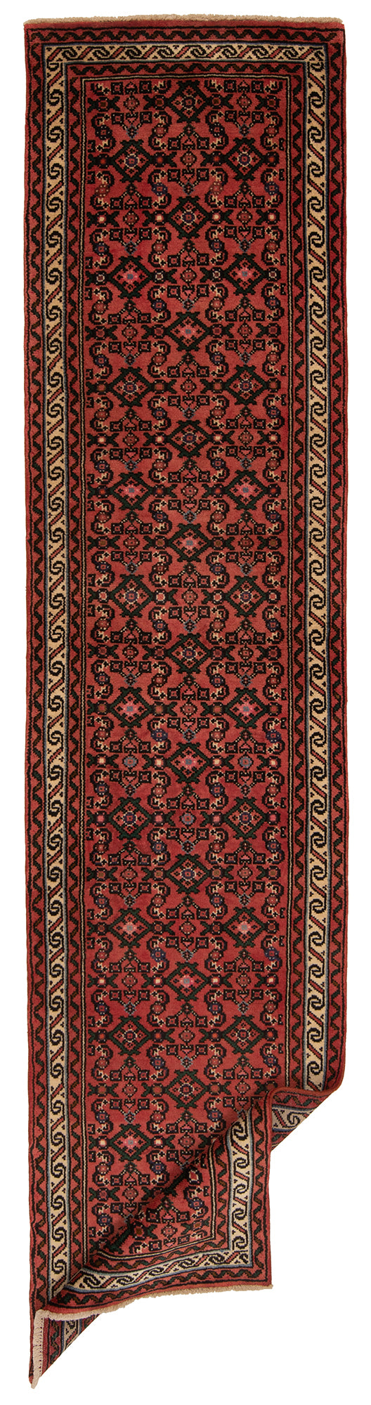 Hamedan Persian rug | 290 x 67 cm