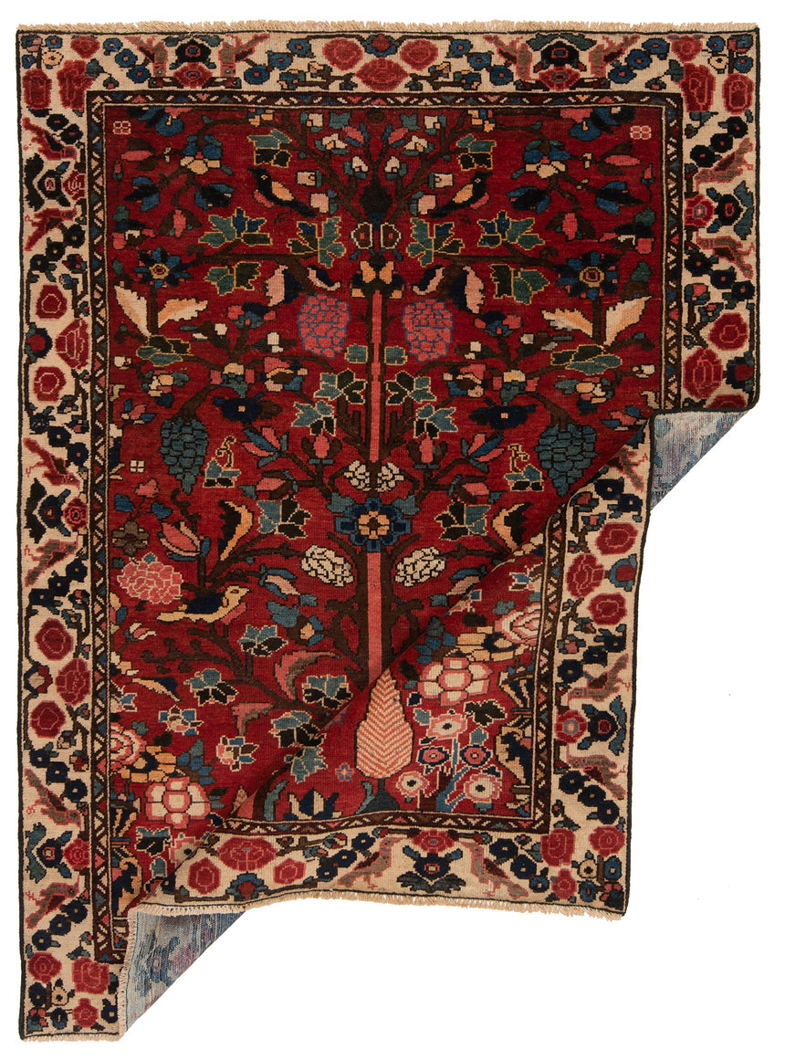 Bakhtiar Persian Rug | 185x136cm