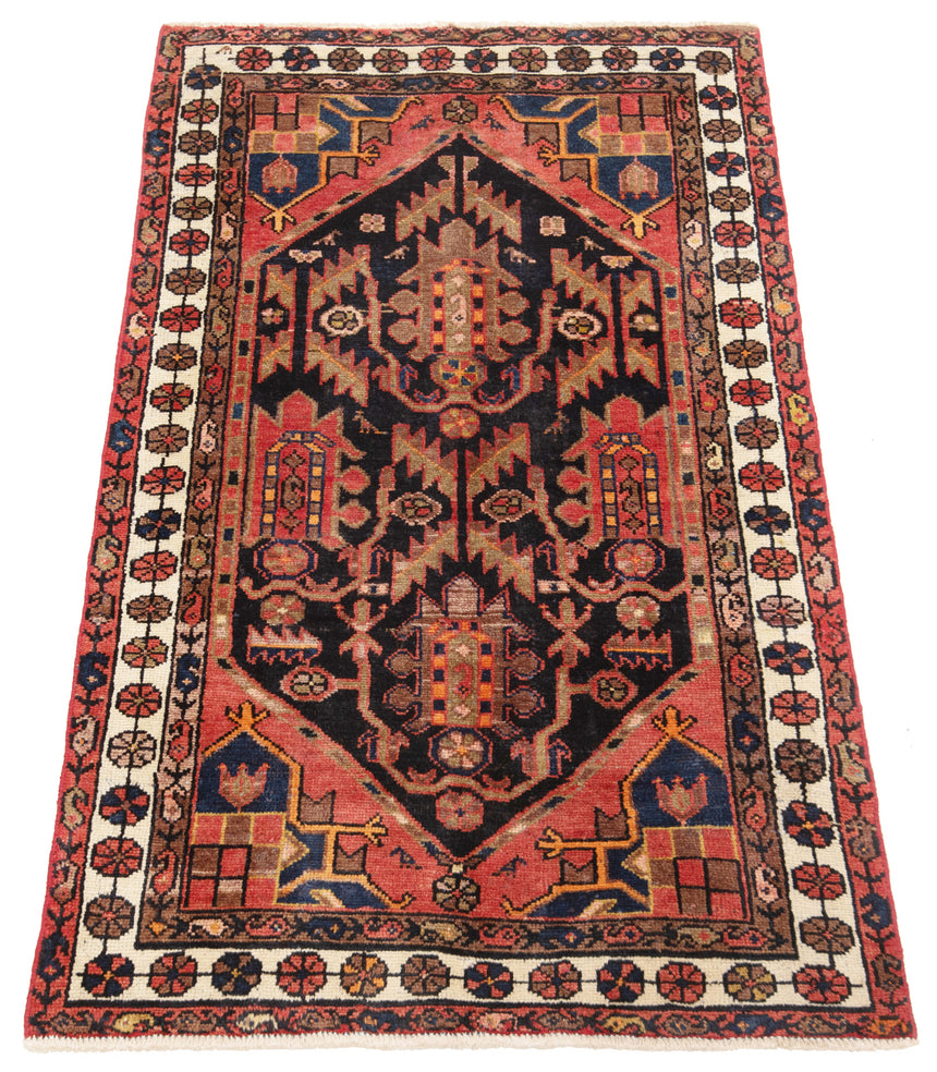Hamedan Persian Rug | 167 x 101 cm