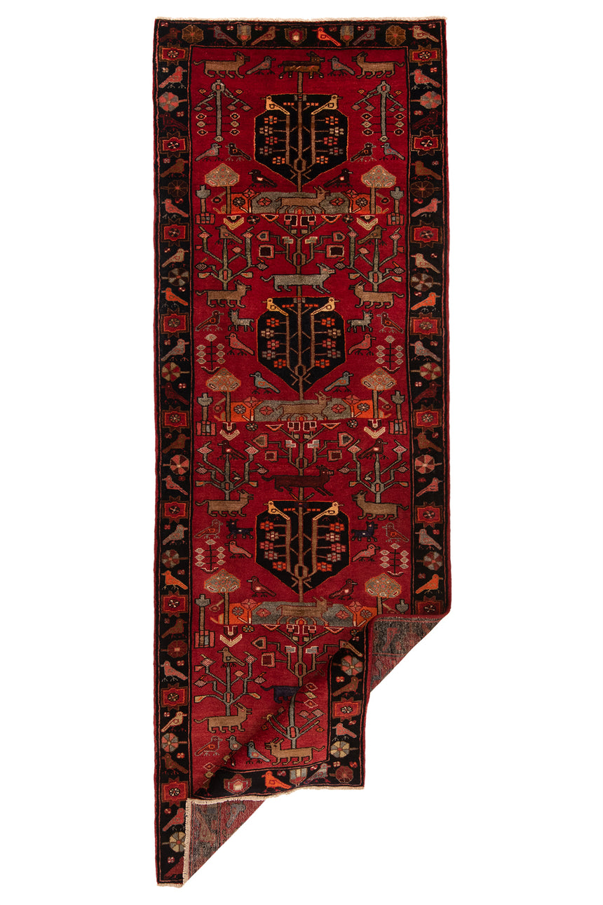 Hamedan Persian Rug | 329 x 117 cm