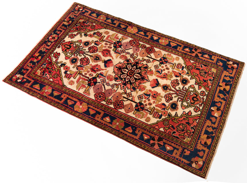 Hamedan Persian rug | 172 x 107 cm
