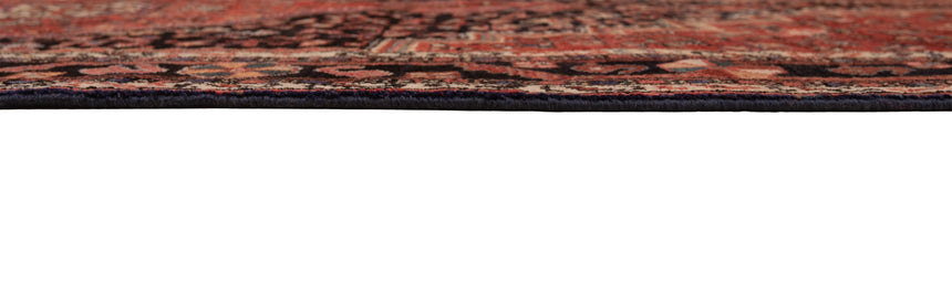 Hamedan Teuserkan Persian Rug | 328 x 159cm