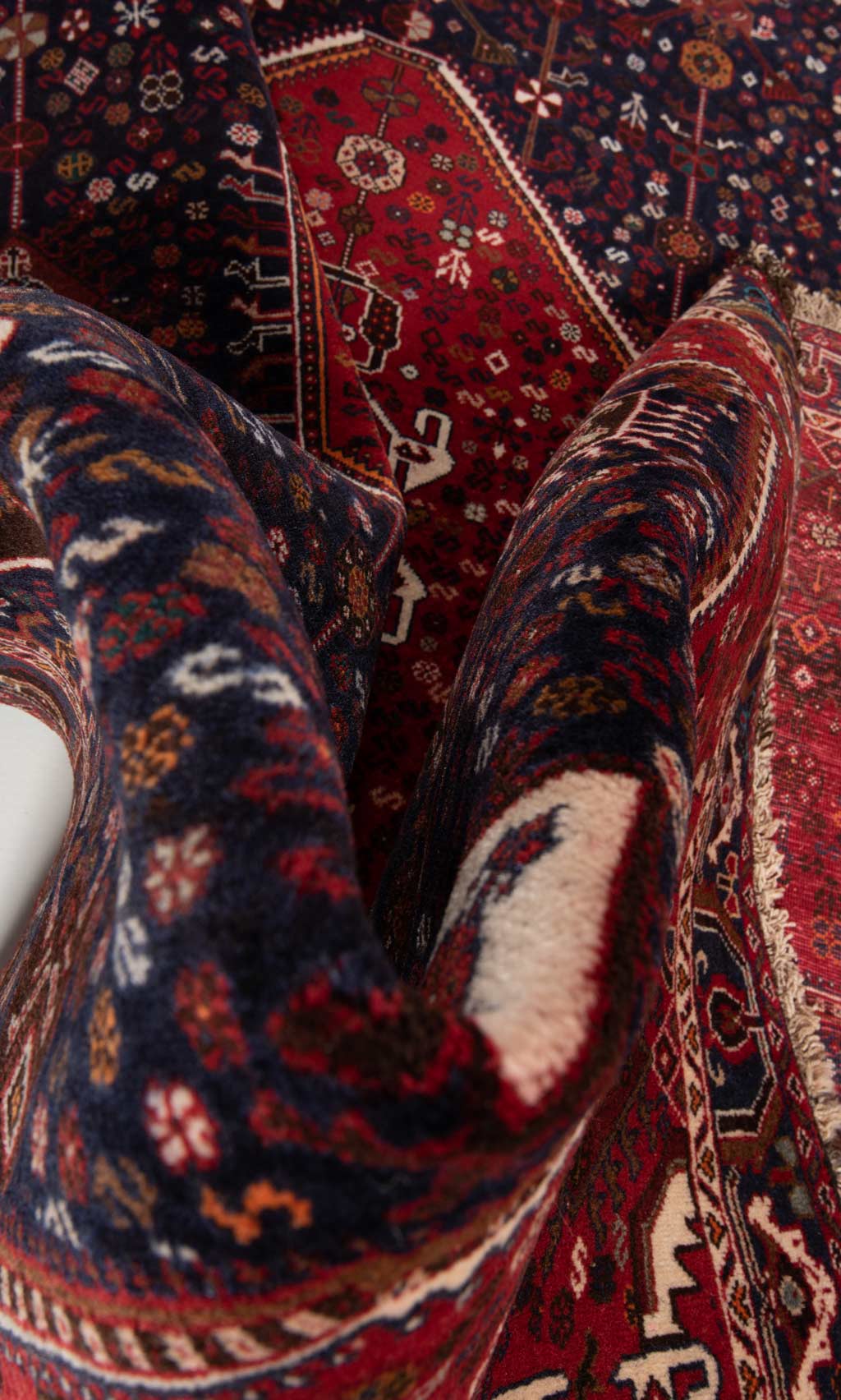 Shiraz Alfombra Persa | 303 x 180 cm