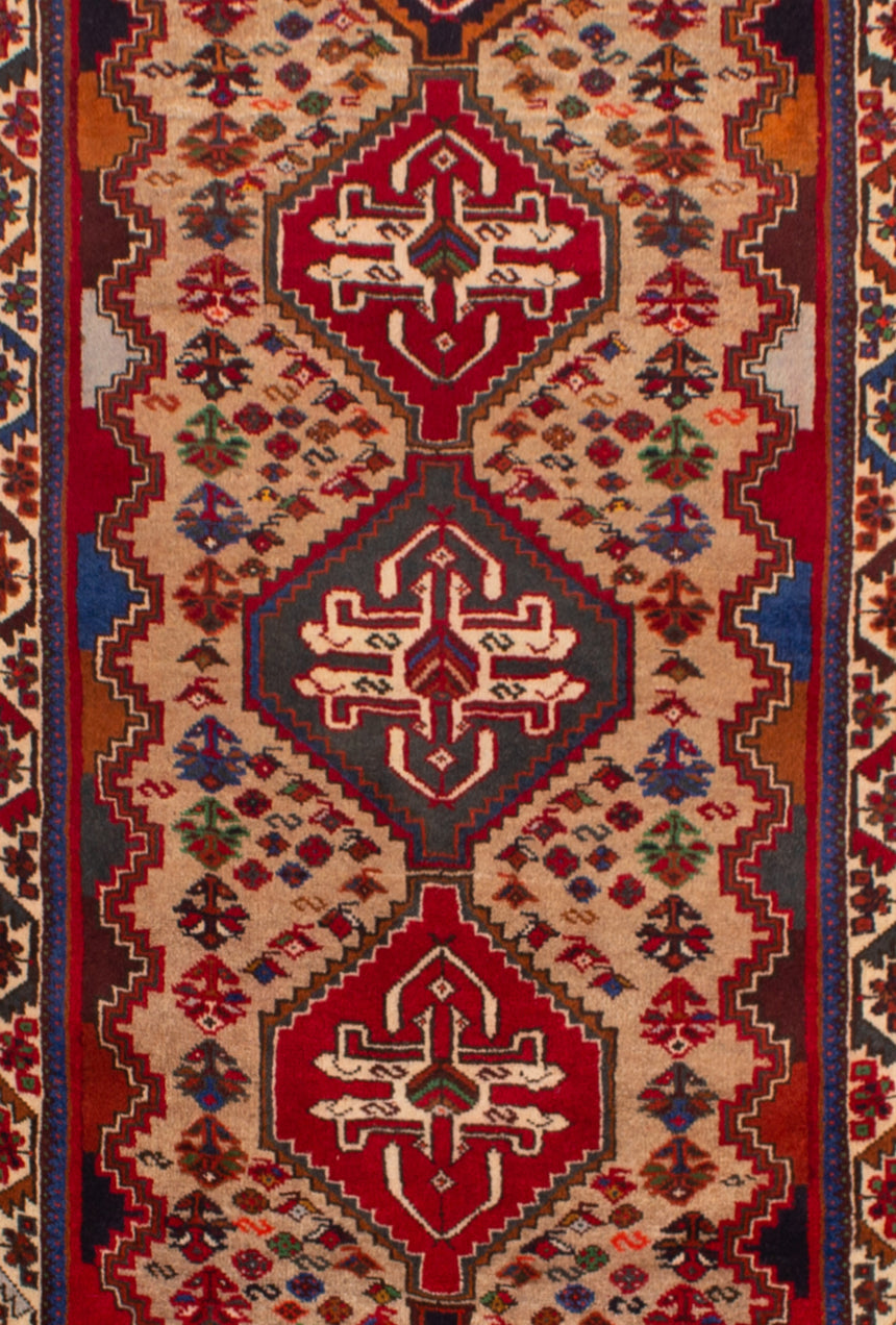 Hamedan Persian Rug | 251 x 86 cm