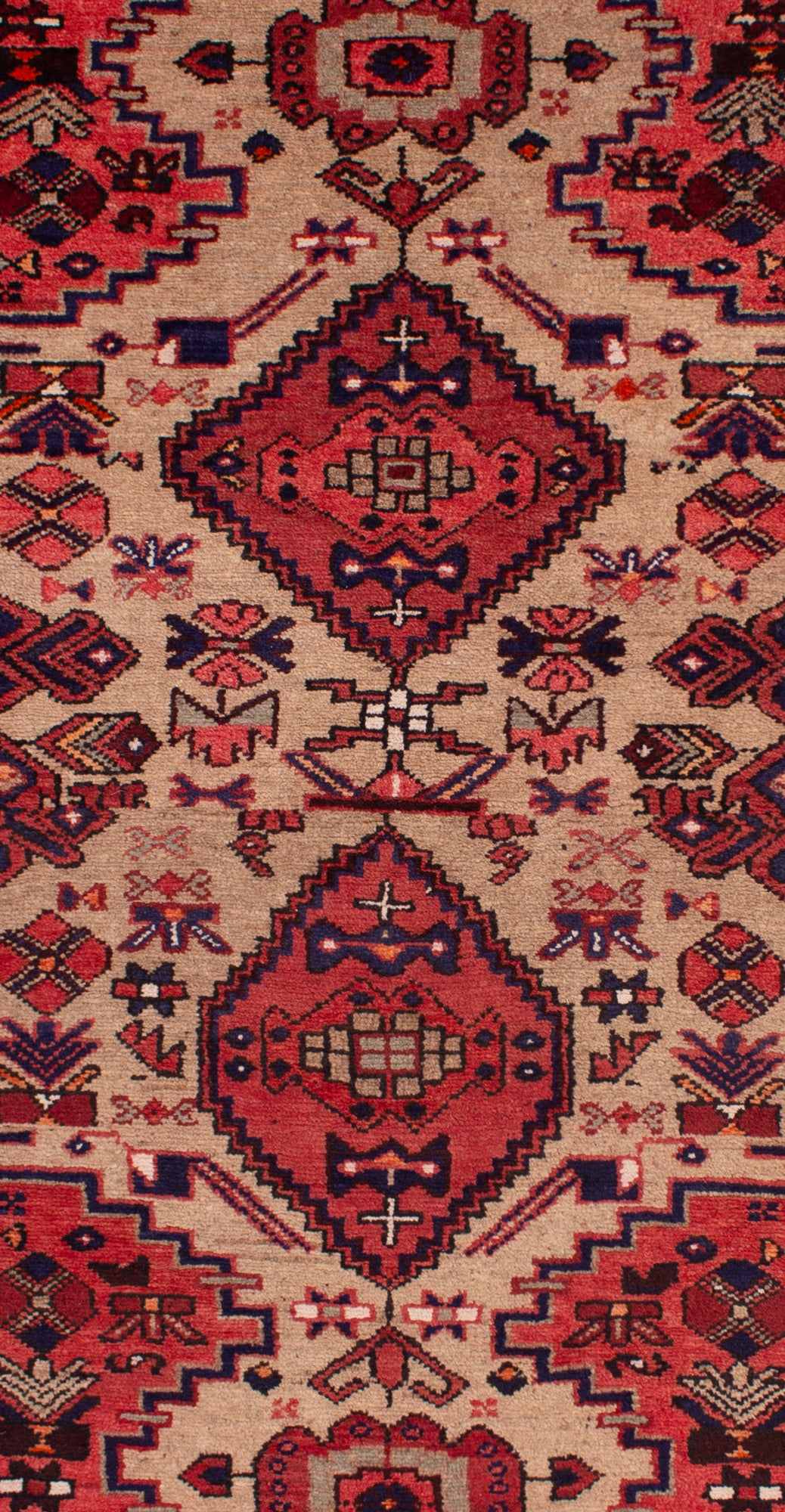 Hamedan Persian Rug | 175 x 102 cm