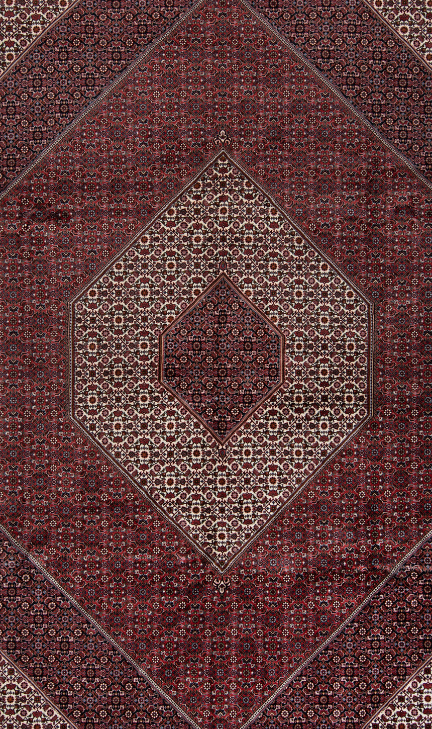 Bidjar do tapete persa | 365 x 255 cm