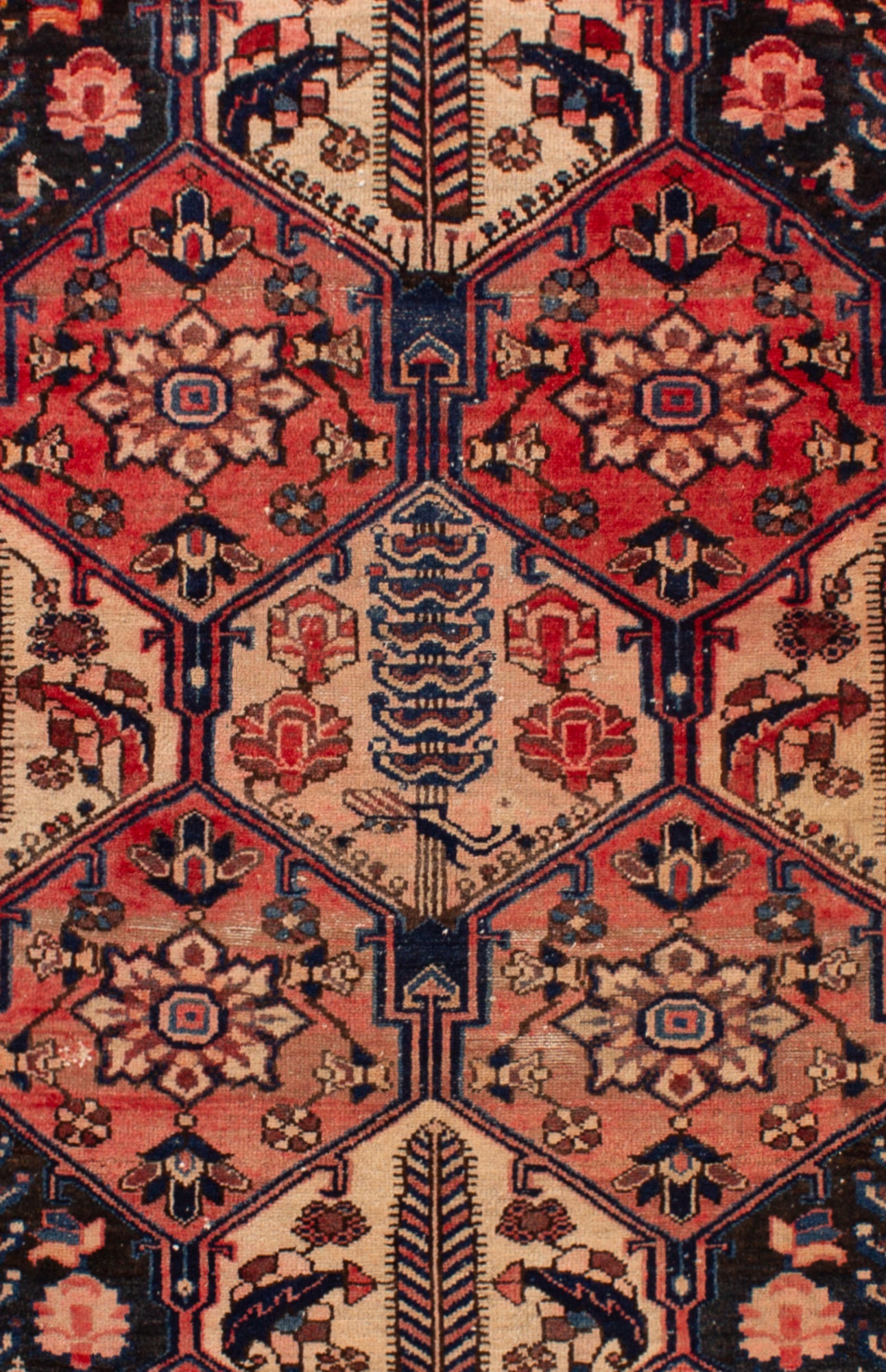 Alfombra Persa Bakhtiar | 200 x 130 cm