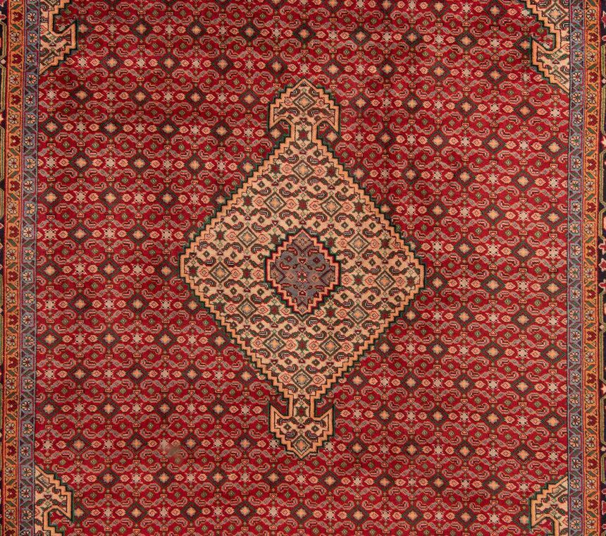 Ardebil Persian Rug | 293x200cm