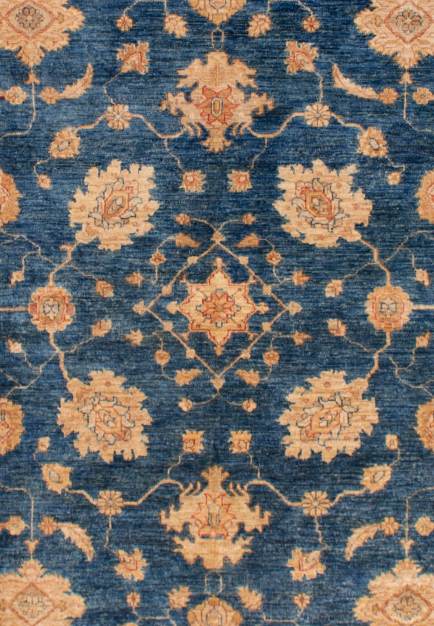 Ziegler Rug | 235 x 169cm