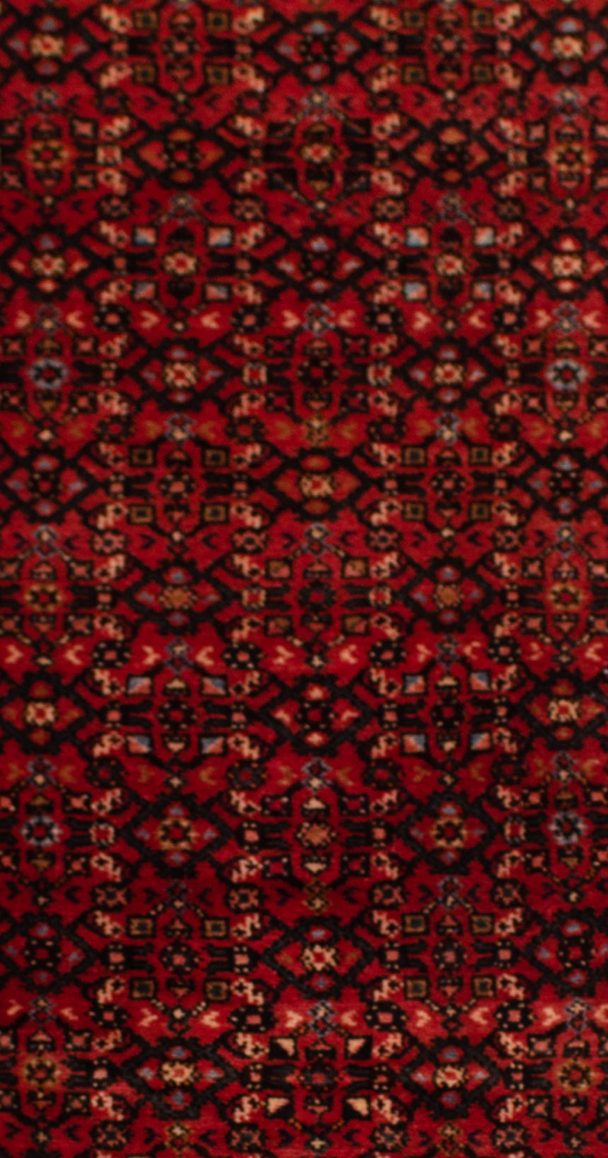 Hamedan Persian Rug | 292 x 86 cm