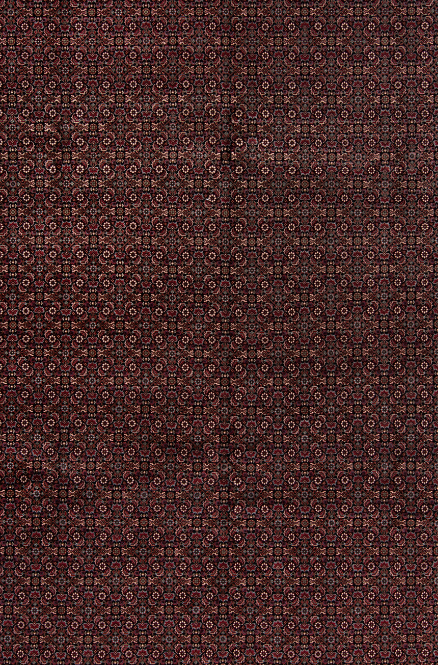 Bidjar do tapete persa | 350 x 250 cm