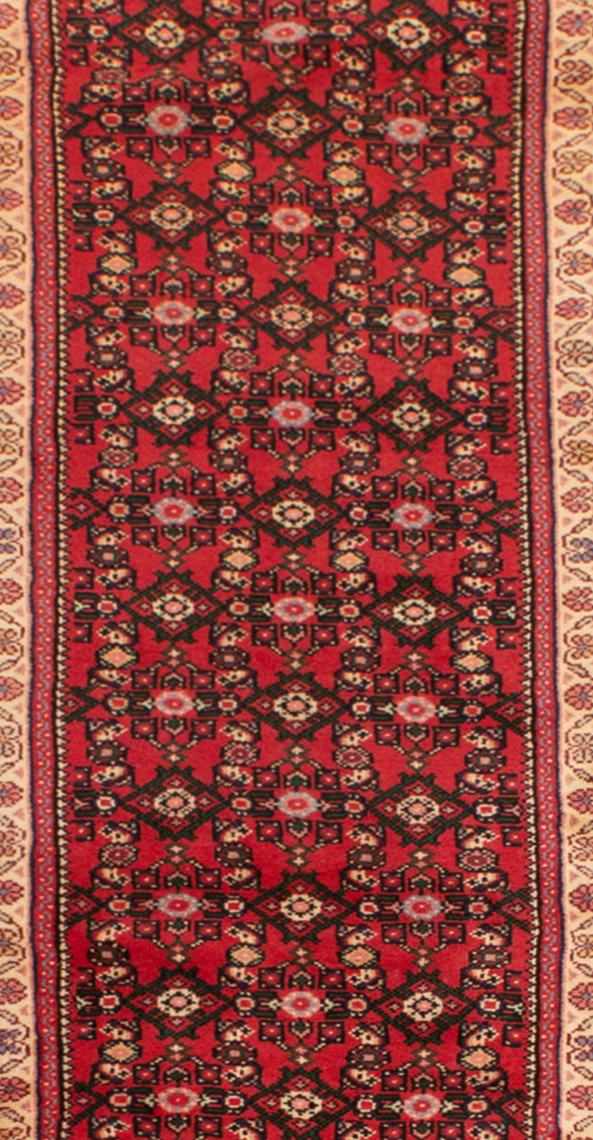 Hamedan Persian Rug | 959 x 67 cm