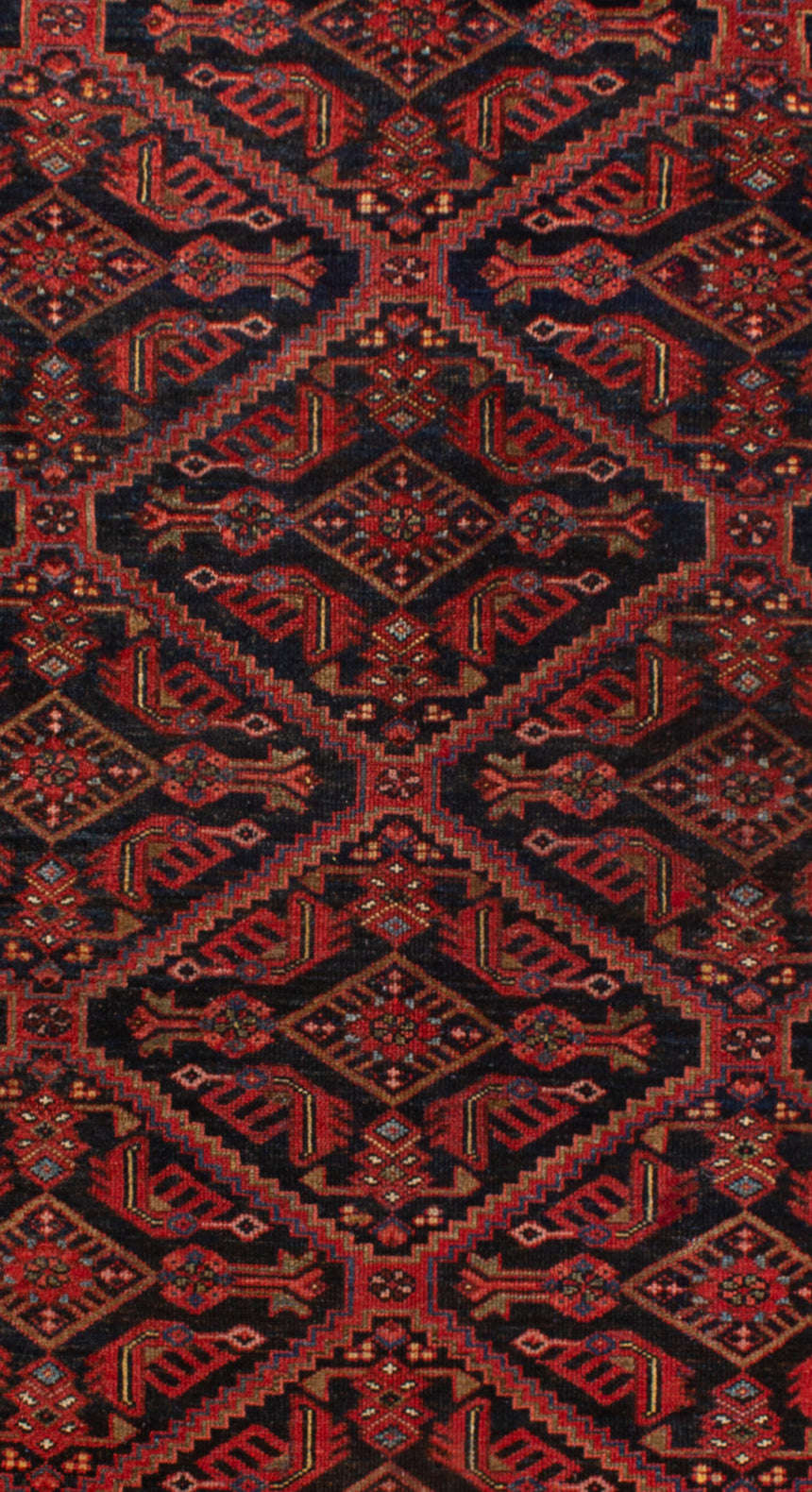 Antique Persian Zanjan Rug | 290 x 158 cm