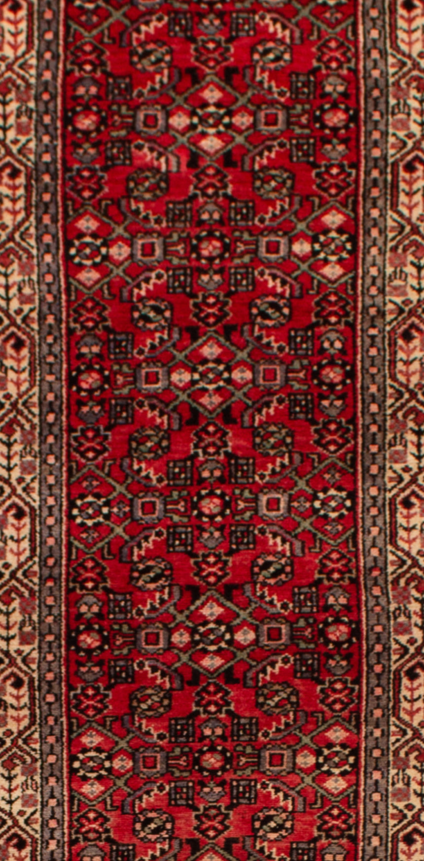 Hamedan Persian Rug | 388 x 80 cm